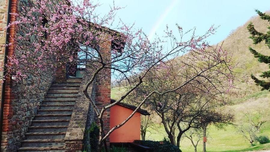 Agriturismo Paradiso41 Assisi Kültér fotó