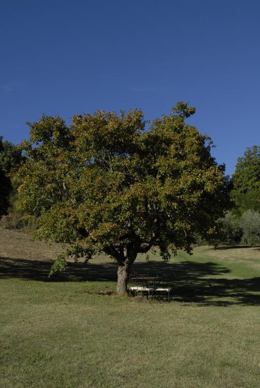 Agriturismo Paradiso41 Assisi Kültér fotó