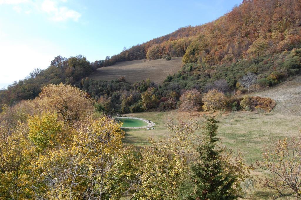 Agriturismo Paradiso41 Assisi Kültér fotó