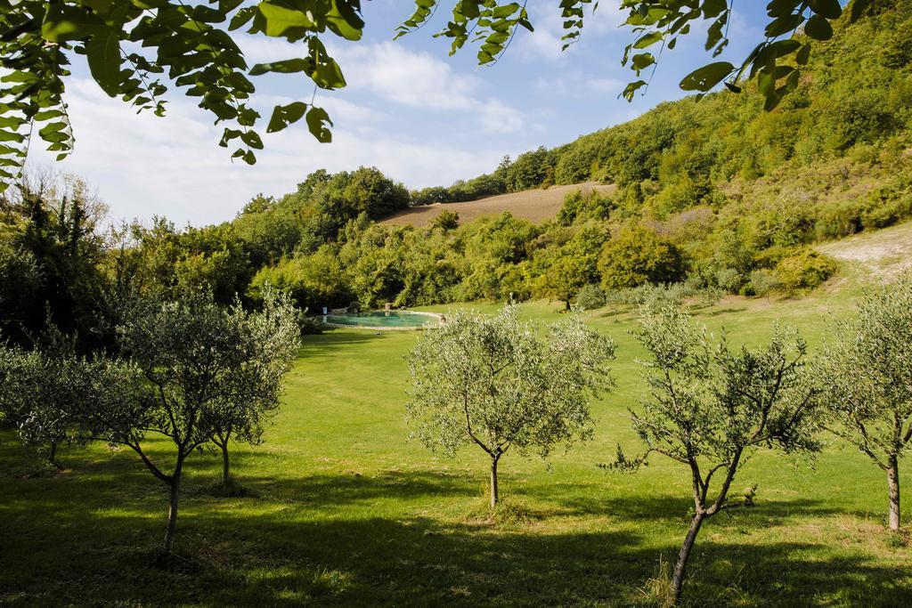 Agriturismo Paradiso41 Assisi Kültér fotó